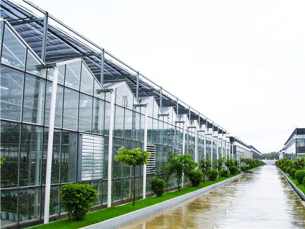 玻璃溫室