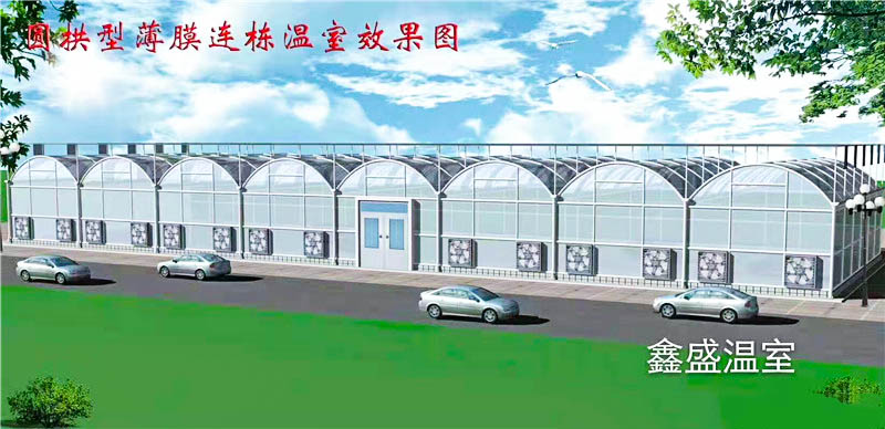 智能連棟溫室 智能連棟溫室